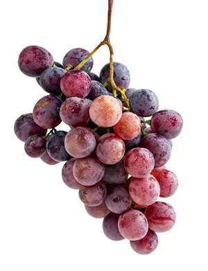Red Tannat grapes