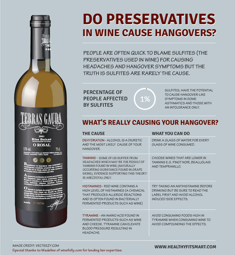 Preservatives in Wine Infographic