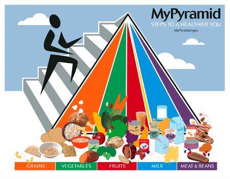 New usda food pyramid