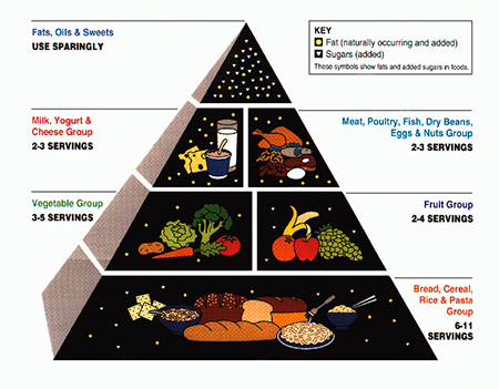 Old USDA Food Pyramid
