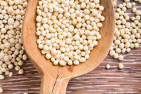 soybean protein