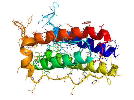 leptin molecular structure